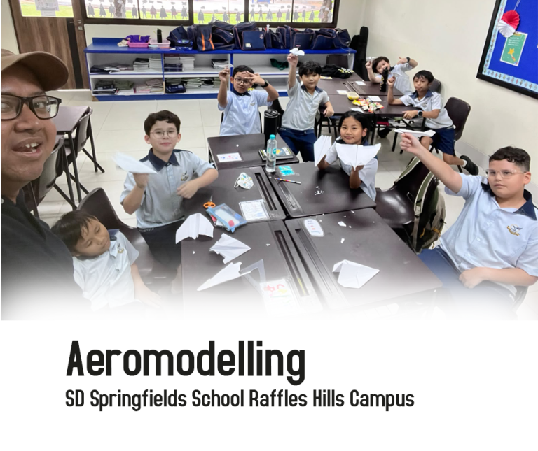 Aeromodelling SD Springfields
