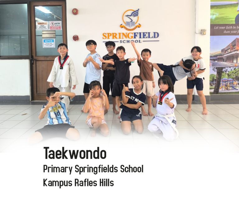 taekwondo Springfields